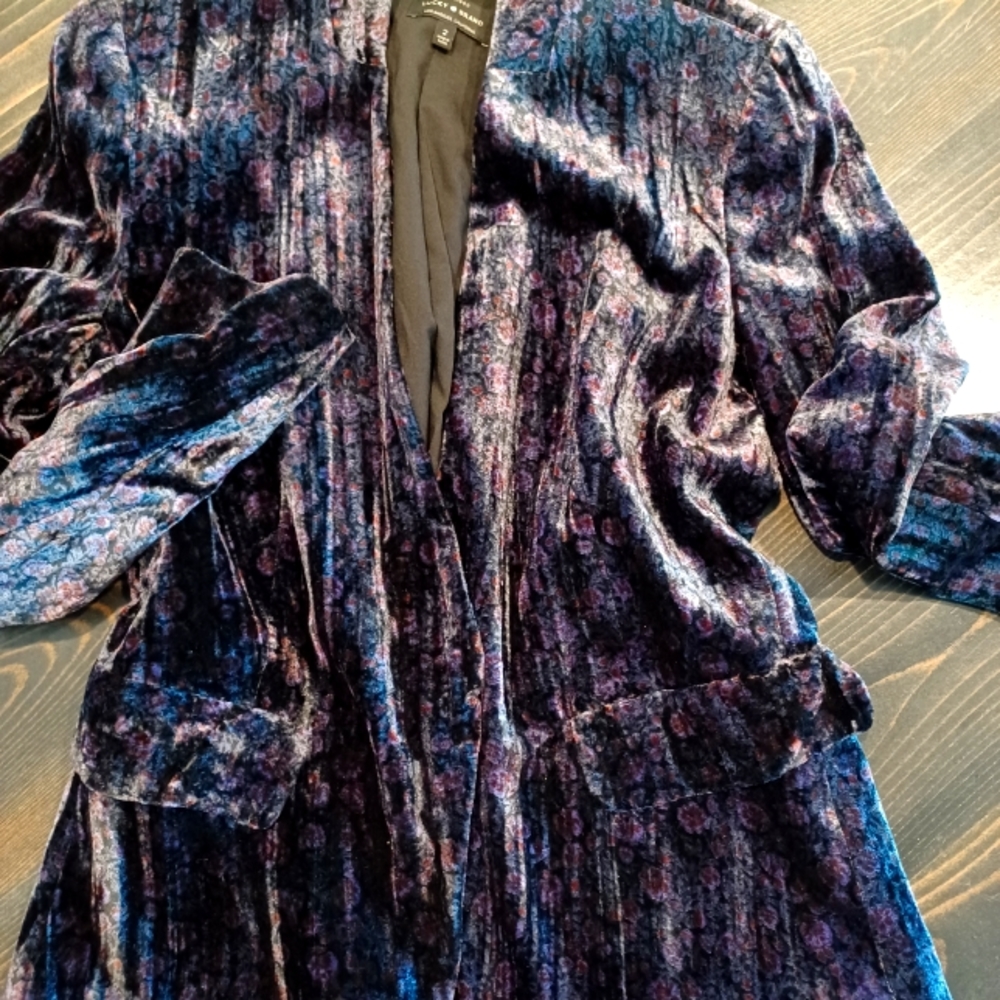 Beautiful velvet blazer!